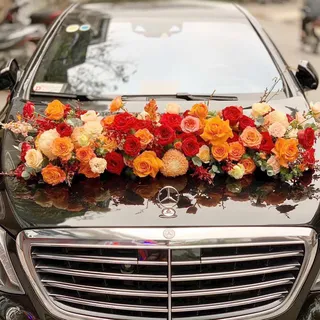 Xe Hoa Cưới Hải Phòng 17
