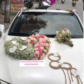 Xe Hoa Cưới Hải Phòng 19
