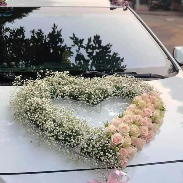 Xe Hoa Cưới Hải Phòng 11