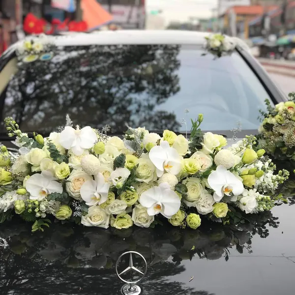 Xe Hoa Cưới Hải Phòng 12