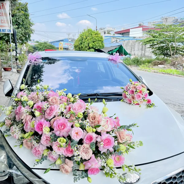 Xe Hoa Cưới Hải Phòng 29