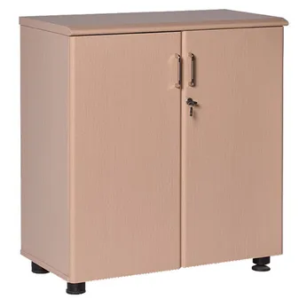 Tủ Gỗ Thấp 2 Cánh NT880D