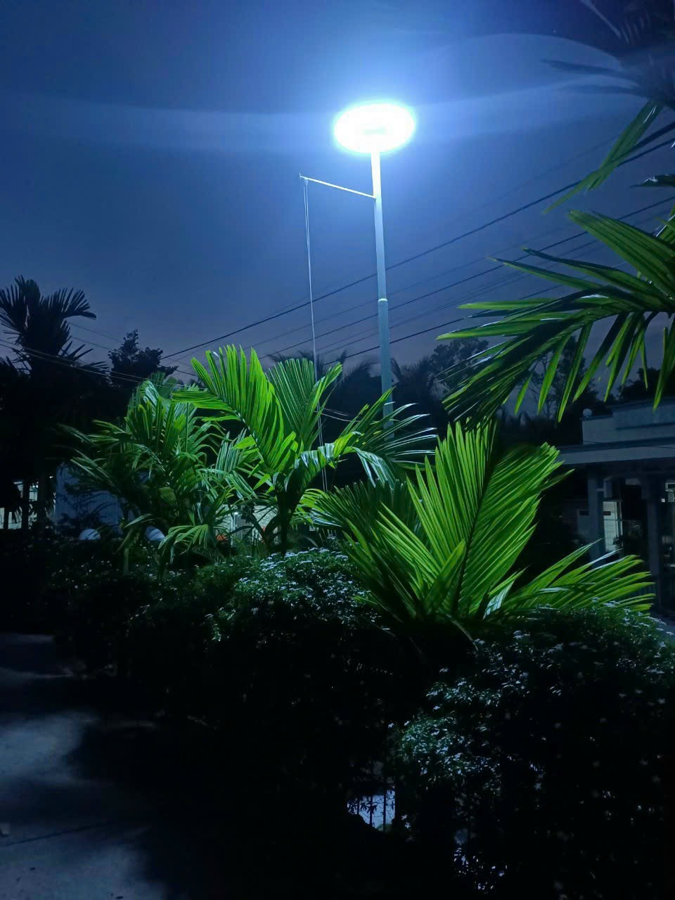 Lắp đèn năng lượng mặt trời cho bảng hiệu quảng cáo tại Vĩnh Lộc