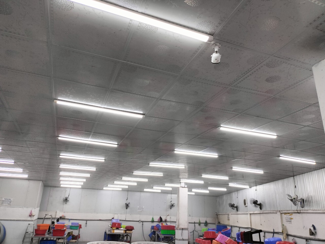 Lắp đặt camera EZVIZ ngoài trời giá rẻ chính hãng trọn gói tại Tân Phú