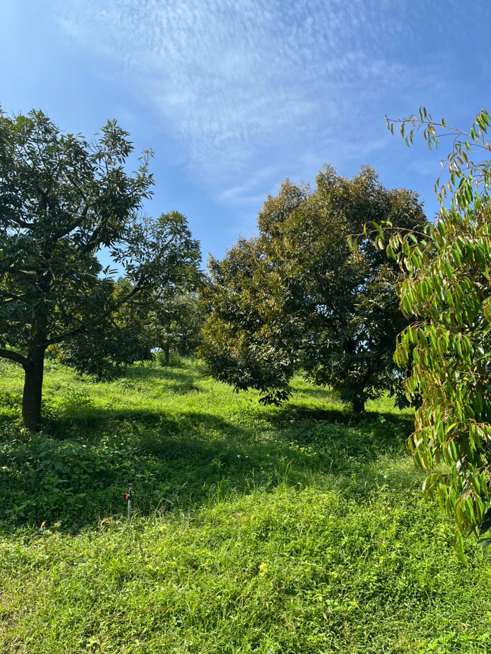 Giải pháp lắp đặt camera 4G