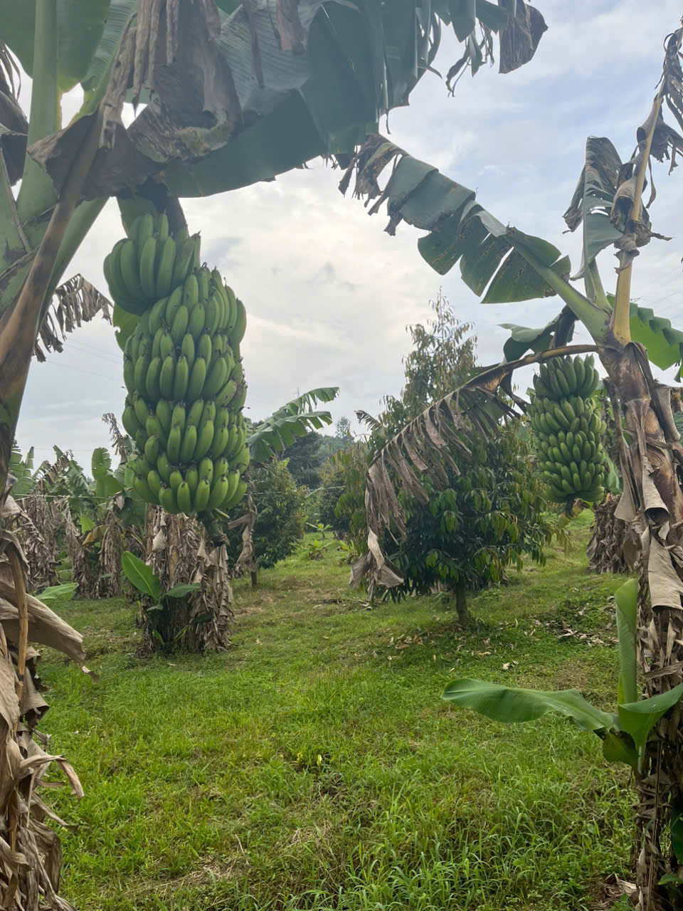 Giải pháp lắp đặt camera 4G