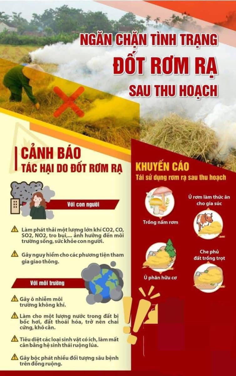 Không đốt rơm rạ Không đốt rơm rạ