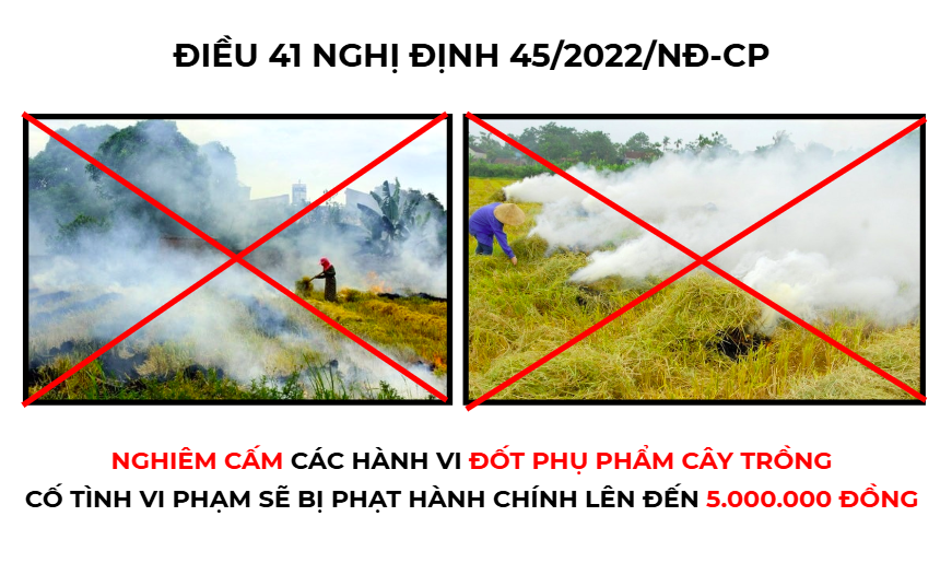 Khoản 1 Điều 41 Nghị định 45/2022/NĐ-CP ngày 07/7/2022 của Thủ tướng Chính phủ về việc cấm đốt rơm rạ Khoản 1 Điều 41 Nghị định 45/2022/NĐ-CP ngày 07/7/2022 của Thủ tướng Chính phủ về việc cấm đốt rơm rạ