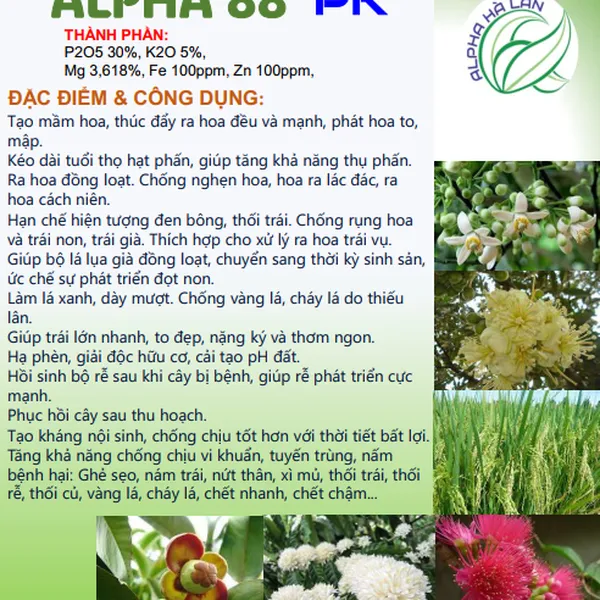 Phân bón lá ALPHA 88 PK