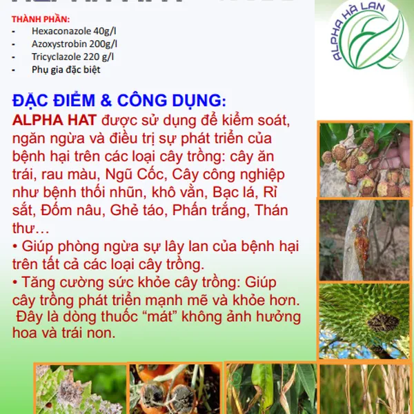 Thuốc trừ nấm bệnh ALPHA AMI GOLD 360EC
