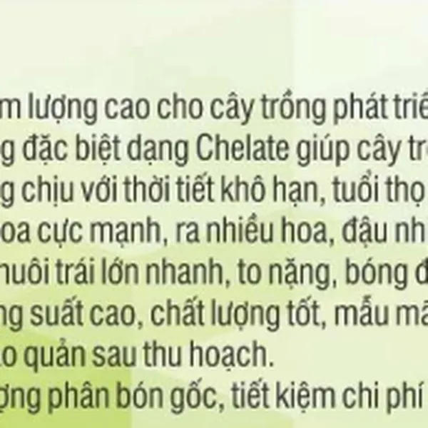 Phân bón lá ALPHA K44