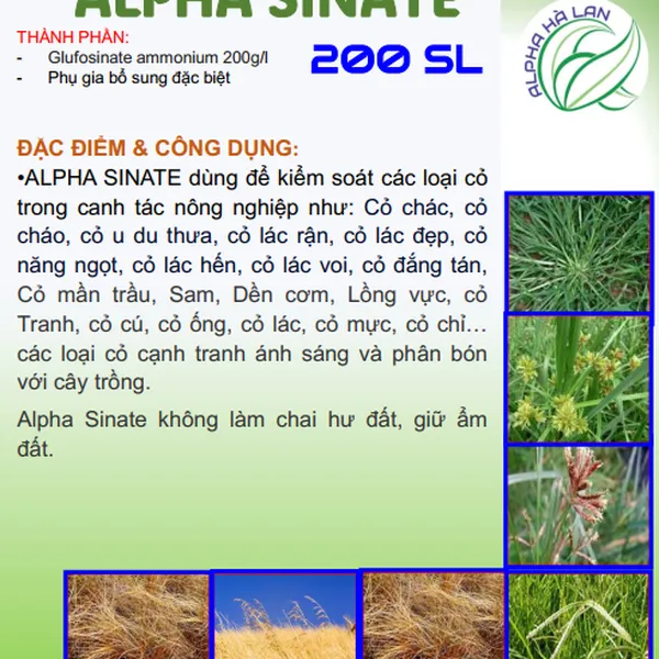 Thuốc diệt cỏ ALPHA SINATE 200SL
