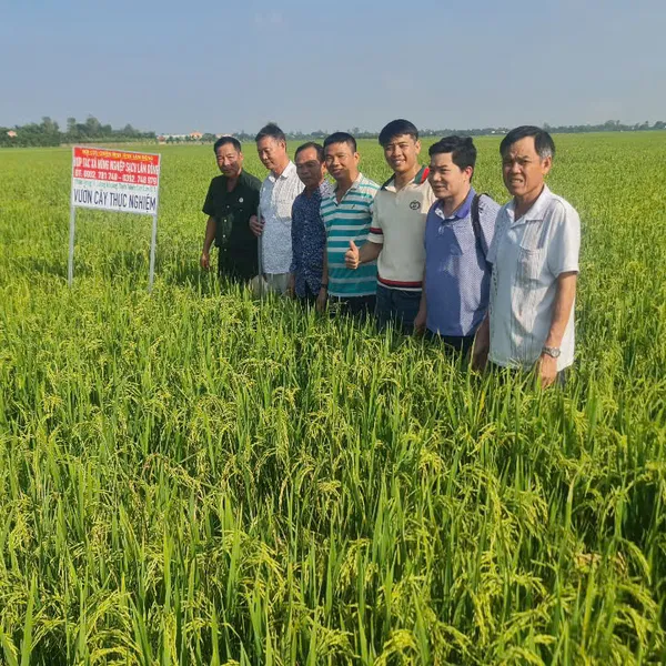Phân bón trung vi lượng khoáng thiên nhiên Hưng Hải