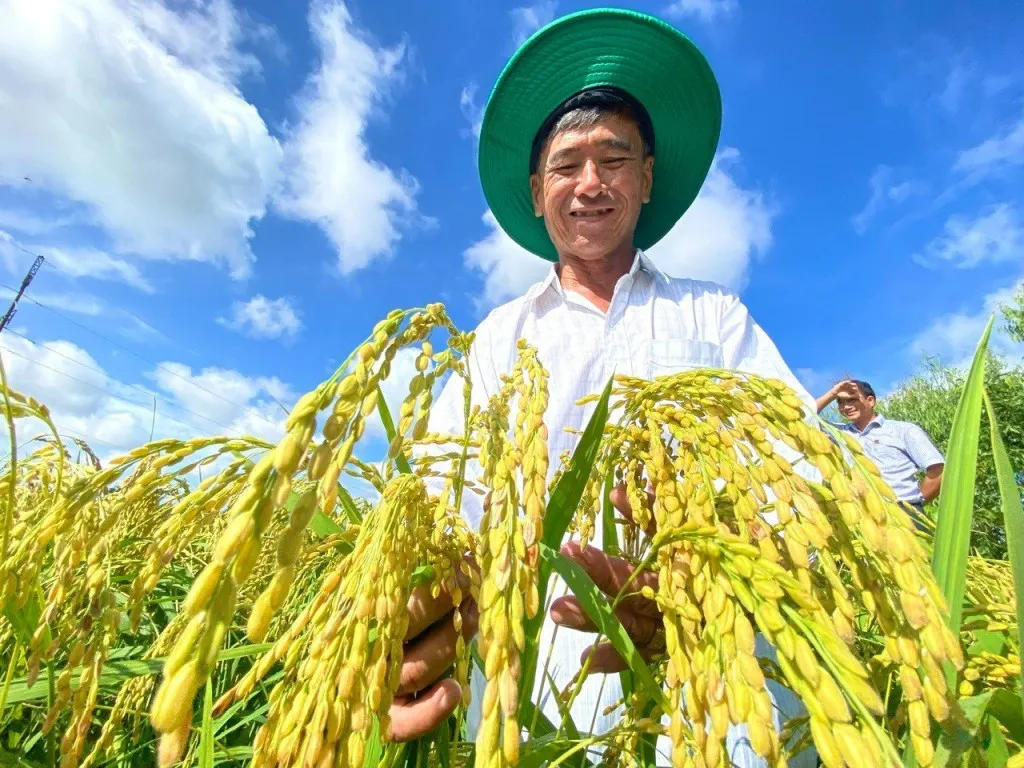 Anh Trần Văn Hải
