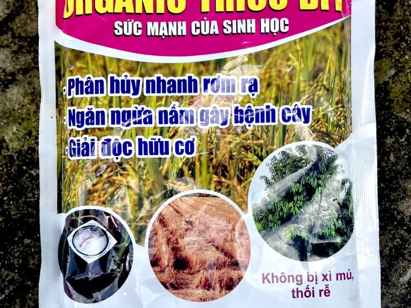 Nấm Trichoderma - Organic Tricho BFF: Giải Pháp Hiệu Quả Cho Nông Dân Miền Tây Trong Việc Phòng Trừ Bệnh Hại Và Cải Tạo Đất