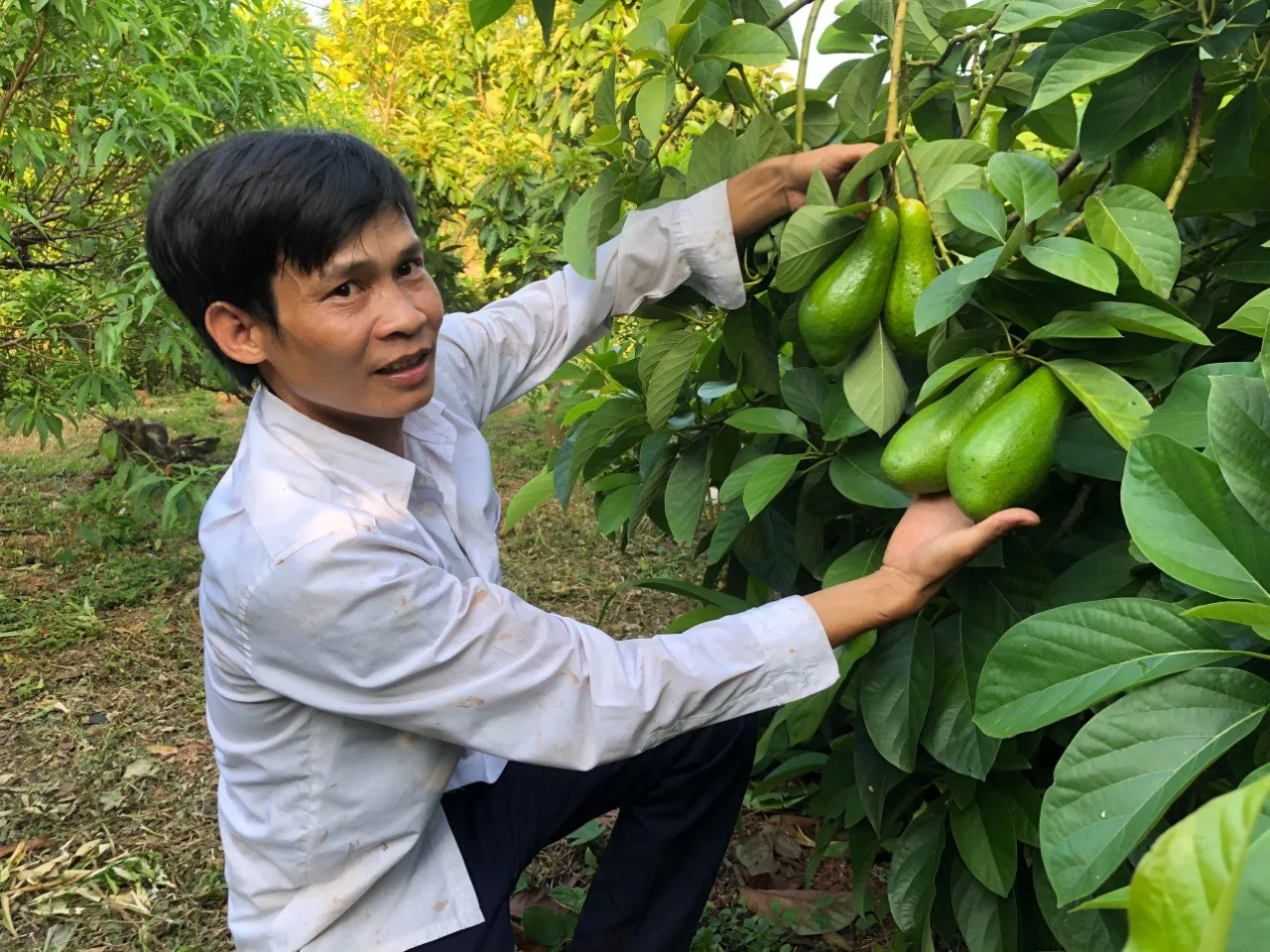 Anh Chu Bá Thuấn
