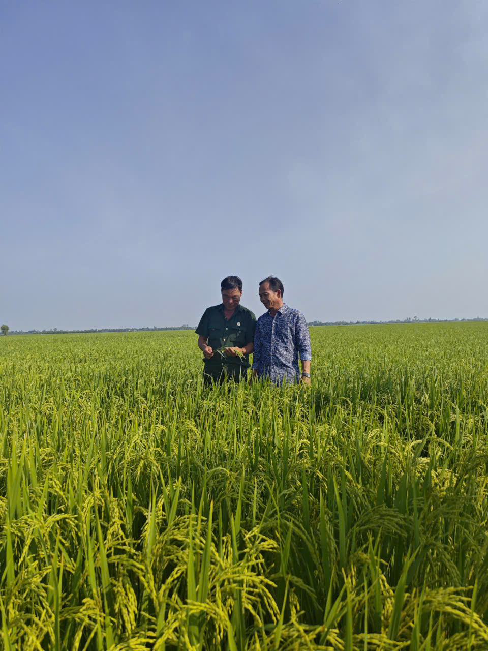 Bác Nguyễn Văn Ơn