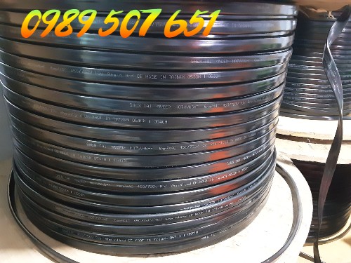 cap-det-cau-truc-4cx10 cap-det-cau-truc-4cx10