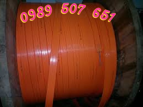 ray-dien-an-toan-3p-cho-cau-truc ray-dien-an-toan-3p-cho-cau-truc