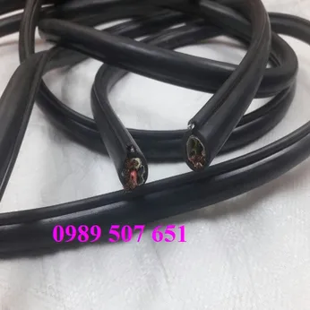 Cáp điều khiển cầu trục có lõi thép 8Cx1.25