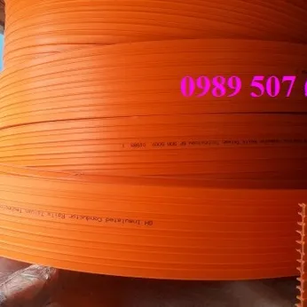 Ray điện an toàn cầu trục 6P-50A