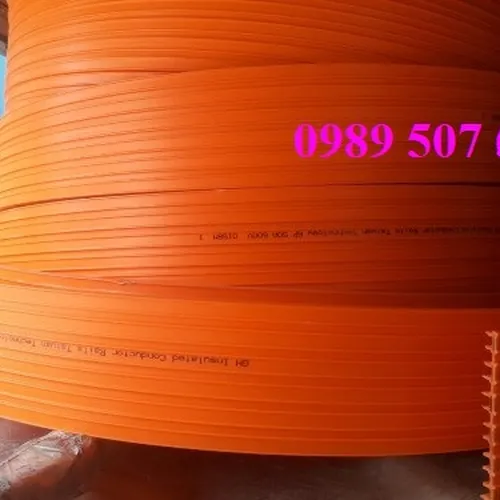 Ray điện an toàn cầu trục 6P-50A