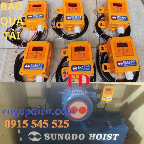 bao-qua-tai-cau-truc bao-qua-tai-cau-truc