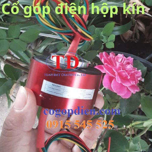 co-gop-dein-hop-kin-12-pha-truc-20-mm co-gop-dein-hop-kin-12-pha-truc-20-mm