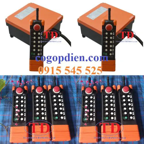 Điều khiển từ xa cầu trục Saga1-L12