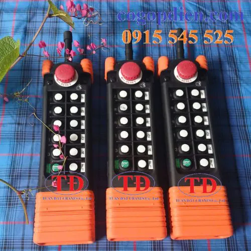 Điều khiển từ xa cầu trục Saga1-L12