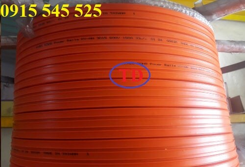 Ray điện an toàn Ray điện an toàn