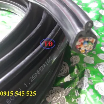 Cáp điều khiển gắn tay bấm cầu trục