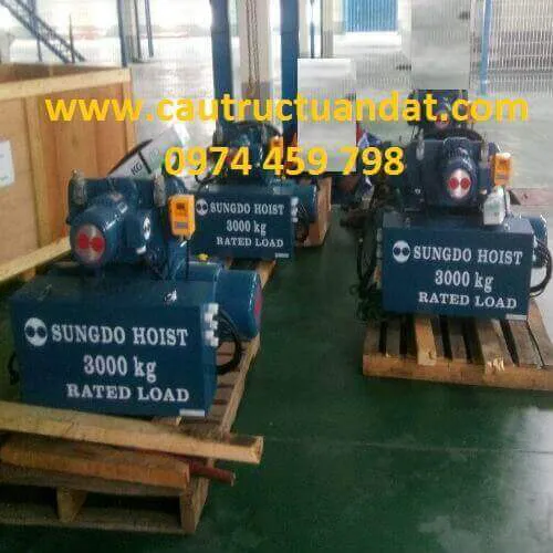 Palang cầu trục hiệu Sungdo