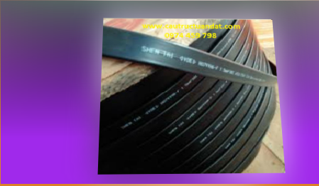 Cáp dẹt cầu trục Cáp dẹt cầu trục