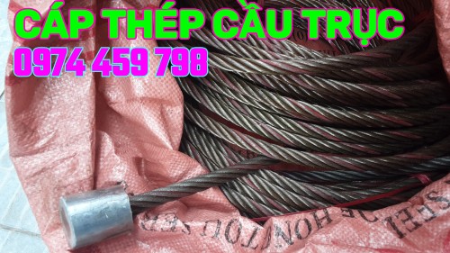 cap-cau-loi-thep-phi-13 cap-cau-loi-thep-phi-13