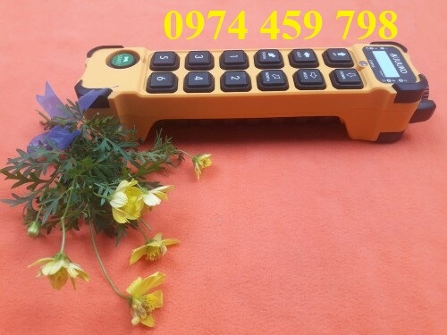 dieu-khien-tu-xa-cau-truc-k1200 dieu-khien-tu-xa-cau-truc-k1200