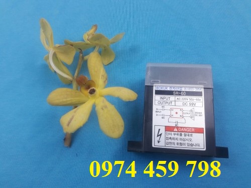 diot-cau-truc-sr-60-bokuk diot-cau-truc-sr-60-bokuk