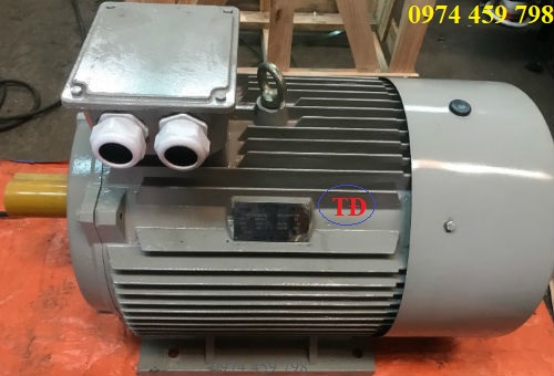 Motor chân đế 90Kw, 400V/ 50Hz, 1470 PRM Motor chân đế 90Kw, 400V/ 50Hz, 1470 PRM