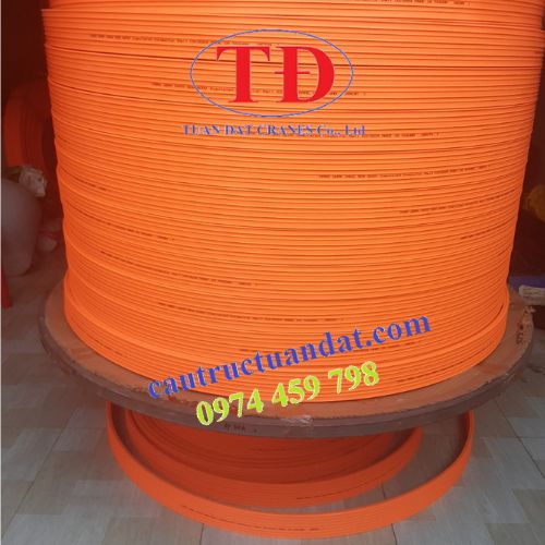 ray-an-toan-cau-truc-4p-50a ray-an-toan-cau-truc-4p-50a