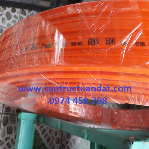 Ray điện an toàn 4P-50A Ray điện an toàn 4P-50A