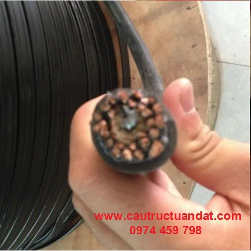 Cáp cho nút bấm điều khiển cầu trục
