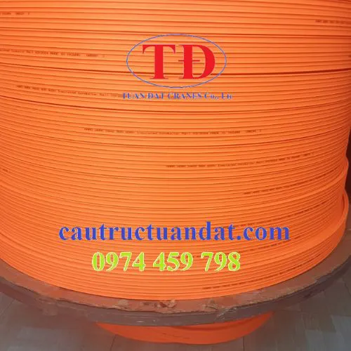 Chuyên về ray an toàn cầu trục 4P 50A