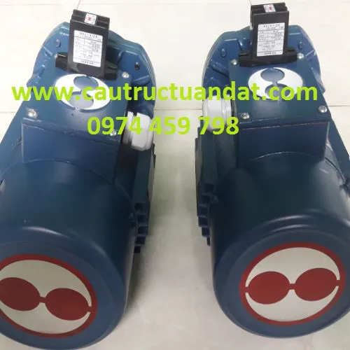Motor dầm biên các loại