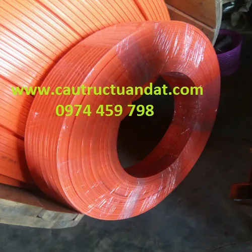 Ray điện an toàn cầu trục 6P