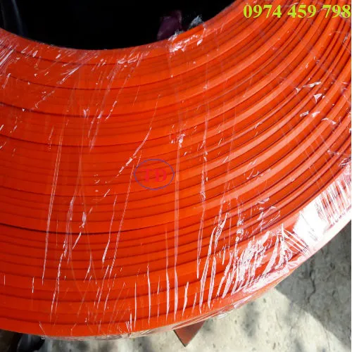 Ray điện cầu trục 3P50A