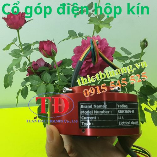 co-gop-dien-hop-kin co-gop-dien-hop-kin