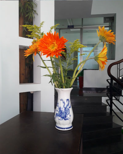 Công ty Tuấn Đạt Công ty Tuấn Đạt