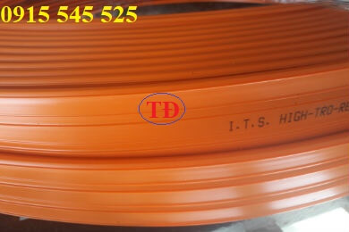 Ray điện an toàn Ray điện an toàn