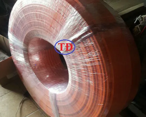 Đơn hàng ray điện an toàn cầu trục