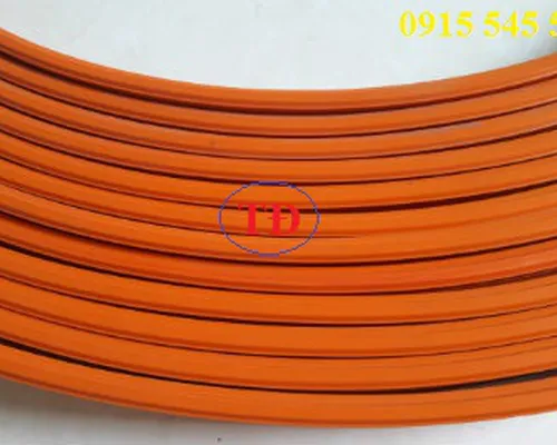 Ray điện an toàn 4P 50A